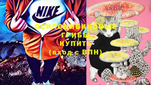 прущие крисы Армянск