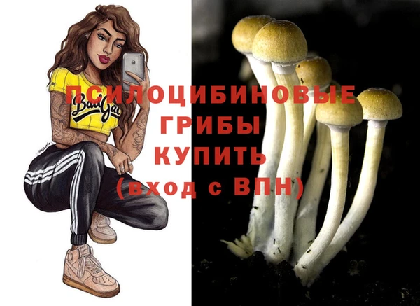 прущие крисы Армянск
